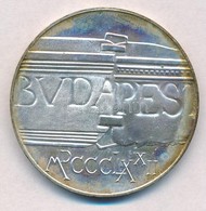 1972. 100Ft Ag 'Budapest' T:BU Patina
Adamo EM40 - Zonder Classificatie