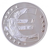 2012. '10 éves Az Euro' Ezüstözött, Aranyozott Fém Emlékérem (40mm) T:PP 
2012. 'Euro 10 Years' Gilt, Silver-plated Comm - Unclassified