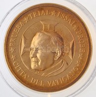 Vatikán 2002. 10c 'II. János Pál' Próbaveret T:1 
Vatican 2002. 10 Cents 'John Paul II' Trial Strike C:UNC - Non Classificati