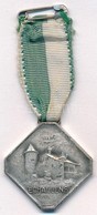 Svájc 1946. 'ECHALLENS 1916 A.C.C.V. 1946 ( Association Cantonale Du Costume Vaudois)' Emlékmedál Zöld-fehér Szalaggal   - Non Classificati