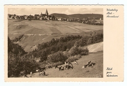 WINTENBERG HOCH SAUERLAND BLICK ZUM ASTENTURM - NON CIRCULEE - Winterberg