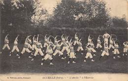 Ecueillé        36      Groupe De Gymnastes. L'Abeille à L'exercice   3         (voir Scan) - Altri & Non Classificati