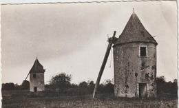 Deux  Sèvres :  ST  VARENT :   Les  Vieux  Moulins  à  Vent  1957 - Autres & Non Classés