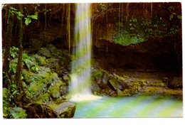 EMERALD POOL NATIONAL PARKS. - Dominica