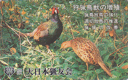 Télécarte Japon / 110-011 - ANIMAL -  OISEAU - FAISAN - PHEASANT Bird Japan Phonecard - FSAN VOGEL - 4302 - Hühnervögel & Fasanen