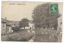 POISSONS - Le Bief Du Moulin - Poissons