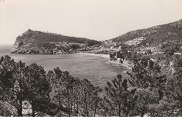 83 - RAYOL - CANADEL  - Pramousquier Et Le Cap Nègre - Rayol-Canadel-sur-Mer