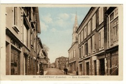 Carte Postale Ancienne Hagetmau - Rue Gambetta - Hagetmau