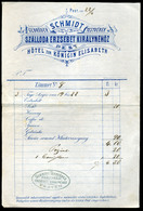 BUDAPEST 1877. Schmidt Testvérek Szálloda Erzsébet Királynéhez, Fejléces,céges Számla  /   Decorative Letterhead Bill Qu - Unclassified