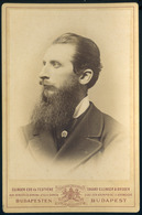 BUDAPEST 1880. Ca. Ellinger Ede és Testvére : Hoffmann Pál 1830-1907. Jogász, Egyetemi Tanár, Az MTA Tagja, Lawyer, Univ - Andere & Zonder Classificatie