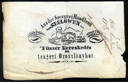 PEST 1851. Fűszer Kereskedés A "Tengeri Oroszlányhoz" Fejléces Céges Számla - Unclassified