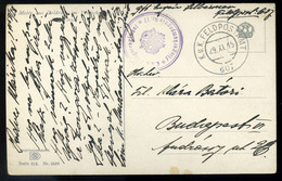 I. VH. Képeslap FP 607 + Fliegerkompagnie Nr.17 Bélyegzéssel - Used Stamps