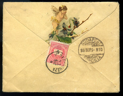 VERESEGYHÁZA 1893. Szép 5Kr-os Hölgylevél Budapestre Küldve - Used Stamps