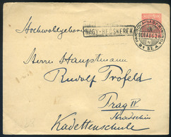 1910. Díjjegyes Boríték, Pancsova-Nagybecskerek Luxus Mozgóposta Bélyegzéssel  /  1910 Stationery Cov. Pancsova-Nagybecs - Gebruikt