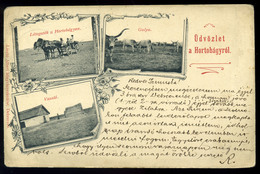 HORTOBÁGY 1900. Régi Képeslap - Hungary