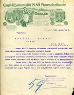 CEGLÉD 1920. Ceglédi Bortermelők Első Pinceszövetkezete, Fejléces, Céges Levél - Ohne Zuordnung