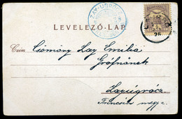 ZAYUGRÓC 1900. Képeslap Ritka Kék Bélyegzéssel - Used Stamps