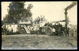 CSANTAVÉR / Čantavir  1920. Cca. Aratás, Cséplés, Emberek Ritka Fotós Képeslap - Hongarije