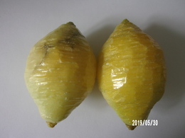 2 Citrons Jaune En Pierre Dure Polie - Autres & Non Classés