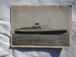 Oceania Cosulich Line Trieste  A 192 - Dampfer