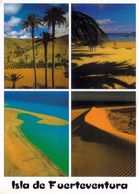 1 AK Insel Fuerteventura * Landschaften Auf Der Insel Fuerteventura * - Fuerteventura