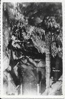 Vallée Du Samson, Grottes Et Cavernes Préhistoriques De Goyet-Mozet - Le Palmier - Carte N° 4604 Non Circulée - Other & Unclassified