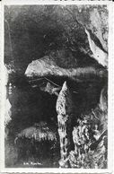 Vallée Du Samson, Grottes Et Cavernes Préhistoriques De Goyet-Mozet - La Ruche - Carte N° 4604 Non Circulée - Other & Unclassified