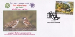 India 2016  World Sparrow Day  Birds  Lucknow Special Cover #  18244  D India Inde Indien - Spatzen