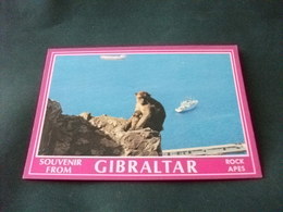 STORIA POSTALE  FRANCOBOLLO GIBRALTAR GIBILTERRA SCIMMIA ROCK APES  NAVE SHIP COMMERCIO - Tankers