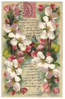 Illustration Illustrateur Carte Fantaisie Fleur Fleurs Alphabet Lettre H Catharina Klein S. 4111 Cachet 1904 - Klein, Catharina