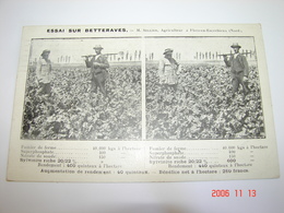 C.P.A.- Mines Domaniales Potasse Alsace - Wittelsheim - Essai Sur Betteraves - 1926 - SUP (BO 11) - Industry