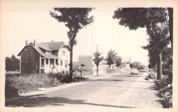 71 - TOURNUS : Avenue De Chalon - CPA - Saône Et Loire - Autres & Non Classés