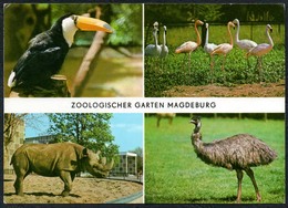 C5817 - Magdeburg - Zoo Zoologischer Garten Tierpark - Nashorn Emu Flamingo Tukan Verlag Bild Und Heimat Reichenbach - Rhinoceros