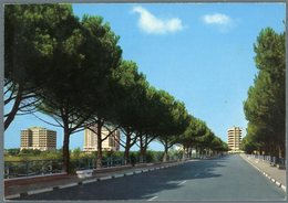 Delcampe - °°° Cartolina N. 1576 - Pescara Montesilvano Alberghi Nuova  °°° - Pescara