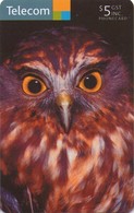 NUEVA ZELANDA. NZ-C-139. Morepork. (016) - Owls
