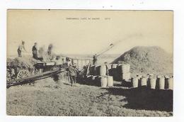 CPA Threshing Oats In Maine - Other & Unclassified