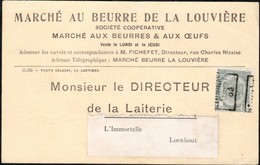 Carte Affranchie Par 1 Timbre Préoblitéré Envoyée De La Louvière (station) Vers Loenhout En 1902 - Rollo De Sellos 1900-09