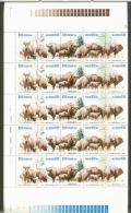 POLAND 1981 PROTECTION OF EUROPEAN POLISH BISON REINTRODUCE REPOPULATE ENVIRONMENT PROTECTION COMPLETE SHEET OF 50 NHM - Volledige Vellen