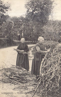 87 /   Limousin :types Du Pays  : Ramasseuses De Bois          /// REF  JUIN .19 - Saint Laurent Sur Gorre