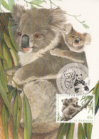 Australia 1995 Maxicard Sc 1459a-1459b Koalas, Pandas Joint With China - Maximumkaarten
