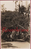 Bresil Brazil Brasil Brazilie Juiz De Fora Parque Halfeld Old Photo Photocard Postcard Zeldzame Fotokaart RARE - Sonstige