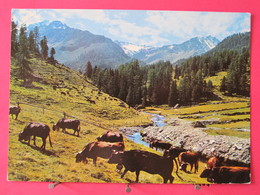 Visuel Très Peu Courant - Suisse - Canton Du Valais - Pâturages à Super Nendaz - Joli Timbre - Scans Recto-verso - Nendaz