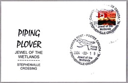 PIPING PLOVER - Charadrius Melodus. Jewel Of The Wetlands. Canada 2004 - Mechanical Postmarks (Advertisement)