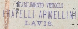 VINI TRENTINI FRATELLI ARMELLINI (AUTOGRAFO) STABILIMENTO VINICOLO LAVIS - TRENTO CON AMB. F.P.A.n.63 Del 30/10/92 - Trento