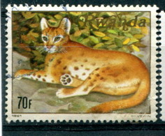 Rwanda 1981 - YT 1006 (o) - Used Stamps