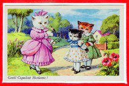 FANTAISIES - CHATS - Gentil Coquelicot - Chats