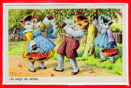 FANTAISIES - CHATS - Au Temps Des Cerises - Chats