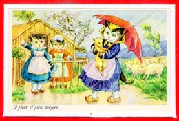 FANTAISIES - CHATS - Il Pleut Bergère - Cats