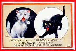 FANTAISIES - CHATS - Dites Blanc  - Dites Noir - Katten