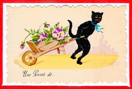 FANTAISIES - CHATS - - Cats